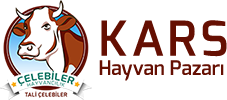 Kars Hayvan Pazarı | Çelebiler